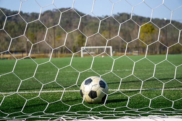 早期職業生 早期職業生