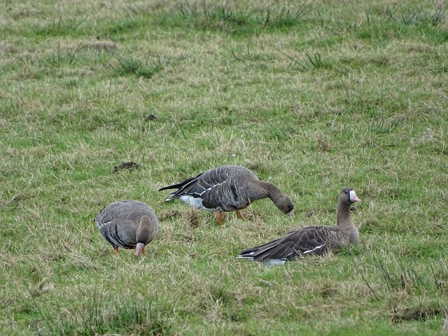 但其他方面 但其他方面