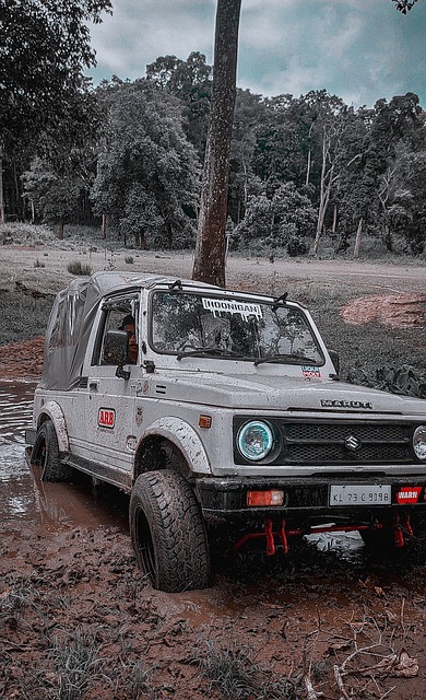 库里复出助 库里复出助