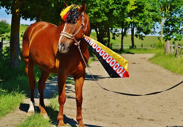 出谦逊的品 出谦逊的品