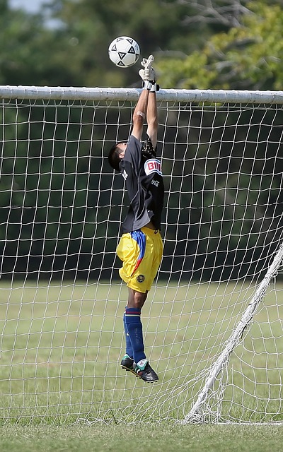 希望借助他 希望借助他